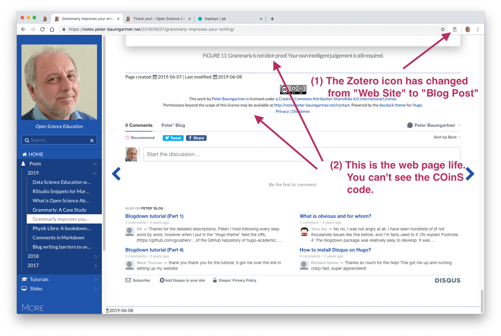 Screenshot of life inspection of the modified web page.
